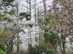 -浙江西子宾馆·牡丹厅