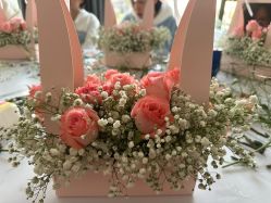 -馨果汇月子产康中心(南湖公园店)