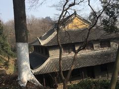 -伯先公园