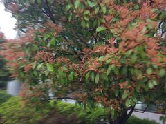 -贮水山儿童公园