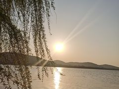 -长广溪湿地公园