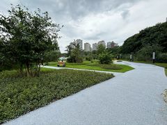 -塔子山公园