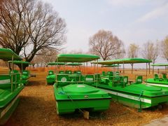 -野鸭湖国家湿地公园