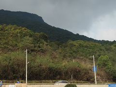 -杨梅坑