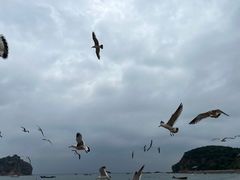 -棒棰岛宾馆景区