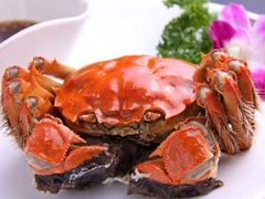 阳澄湖大闸蟹-乡乐园蟹庄·阳澄湖农家乐