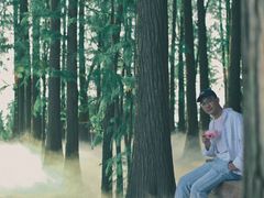 -东湖落雁景区
