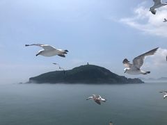 -海驴岛(荣成市)
