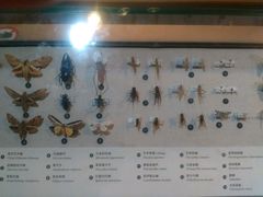 -上海昆虫博物馆