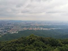 -紫金山山顶公园