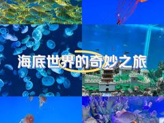-南京海底世界