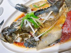 清蒸老虎斑-万龙洲海鲜(南新仓店)