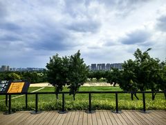 -汉长安城未央宫国家考古遗址公园