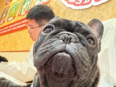 -和它·交个朋友·狗咖猫咖(爱琴海店)