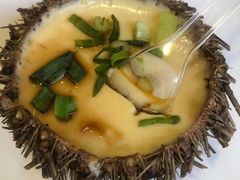 -海胆小馆(东北水饺·春柳店)