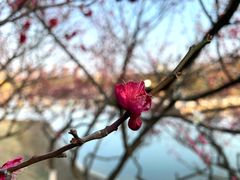 -白塘生态植物园