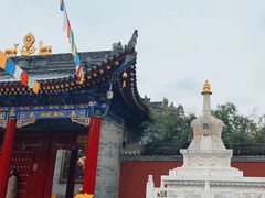-西安市广仁寺