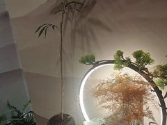 -领享养生会所·采耳·SPA按摩(厦门吕厝店)