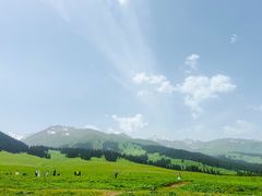 -新疆那拉提国家旅游度假区