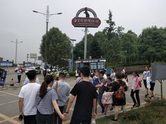 -自贡恐龙博物馆