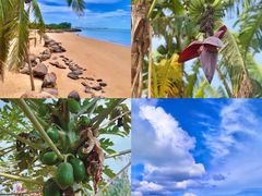 -馨越楼·点心·粤菜(赤坎店)