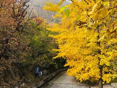 -北京鹫峰国家森林公园