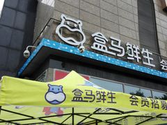 -盒马鲜生(大成店)