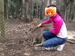 -可伦宾野生动物保护区