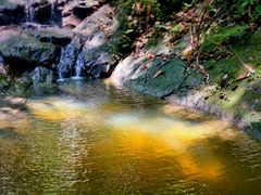 -乌鲁淡布隆国家公园