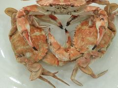 -四海鲜渔家菜(黄金海岸店)