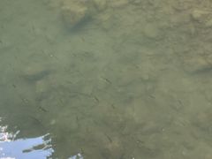-阿依河景区