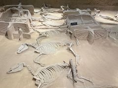 -洛阳周王城天子驾六博物馆