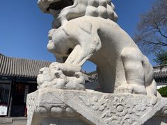 -莲池书院博物馆