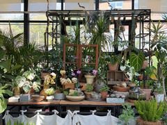 -北马山庄植趣咖啡