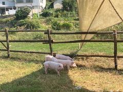 -趣飞飞黑麋峰国际滑翔伞基地
