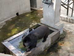 -保定市动物园
