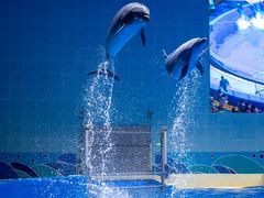 -石家庄市动物园