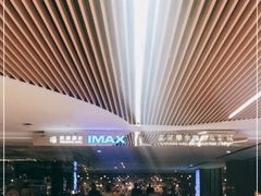 -武商摩尔影城(国广IMAX激光店)