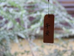 -懒鱼时光馆(沙坪坝店)