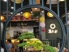 -喜上喜鸡煲翅(吉大店)