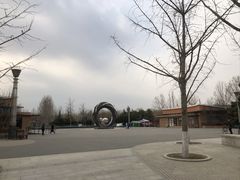 -大兴滨河森林公园