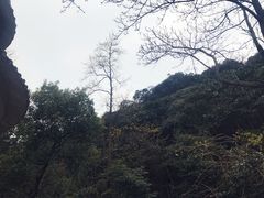 -北仑森林植物园