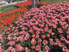 -玄武湖景区-情侣园游乐场