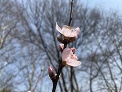 -南京雨花台风景区