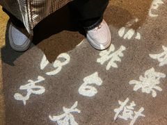 -青竺·青竹茶舍(断桥店)