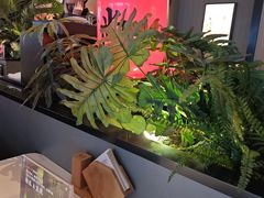-辛香汇·现炒川菜(城北万象城店)