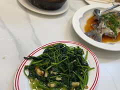 -明本湛江鸡•海鲜小厨(陈家祠店)