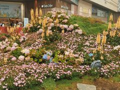 -首开·龙湖成都西宸天街