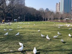 -人民广场