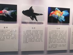 -吴作人艺术馆